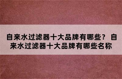 自来水过滤器十大品牌有哪些？ 自来水过滤器十大品牌有哪些名称